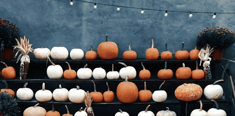 CintSnap uncovers US and UK consumer Halloween 2024 spending habits and traditions